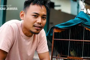 TADINYA TIDAK TERAWAT , SAMPAI AKHIRNYA CUCAK IJO INI BISA KAYA GINI