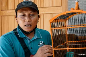 TAKE OVER CUCAK IJO KONCER PANTAU LAPANGAN