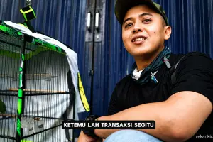 SOLD OUT 50 JUTA 😱 CUCAK IJO SAPU ANGIN 🔥 PECUNDANGI LAWAN RIVALNYA 😮❗BONGKAR RAHASIA STABIL JUARA