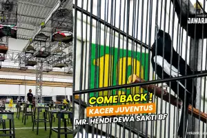 KACER JUVENTUS COME BACK‼️KALAHKAN LAWAN RATUSAN JUTA 😱 MR. HENDI DEWA SAKTI BF