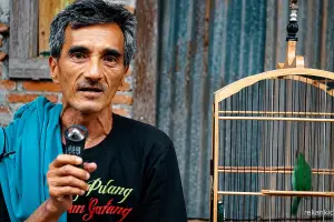 23 tahun MAIN BURUNG !! BAPAK INI SHARING ILMU CUCAK IJO GRATIS