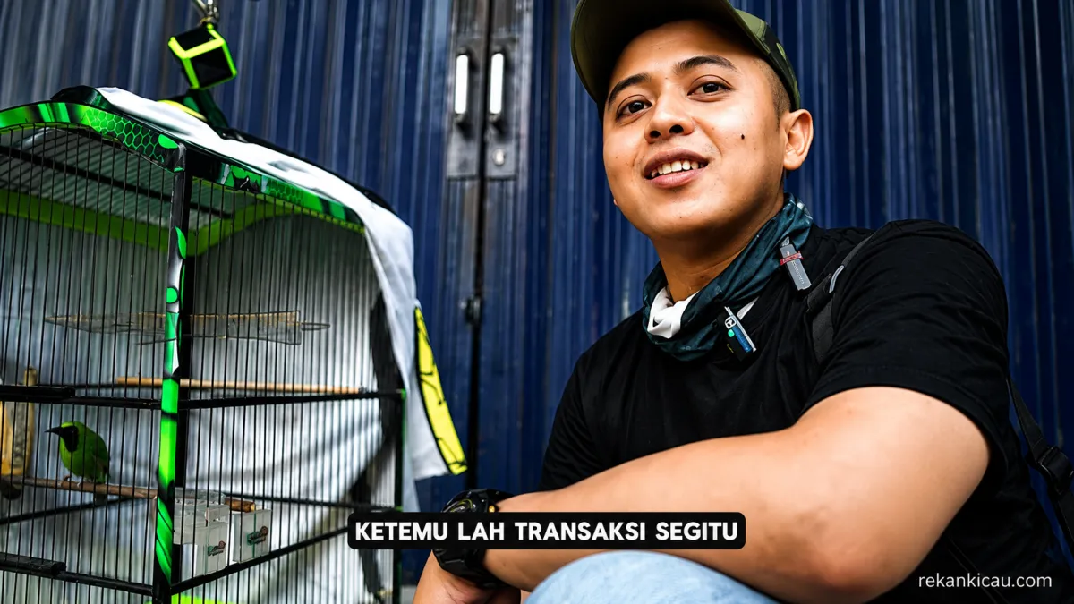 SOLD OUT 50 JUTA 😱 CUCAK IJO SAPU ANGIN 🔥 PECUNDANGI LAWAN RIVALNYA 😮❗BONGKAR RAHASIA STABIL JUARA