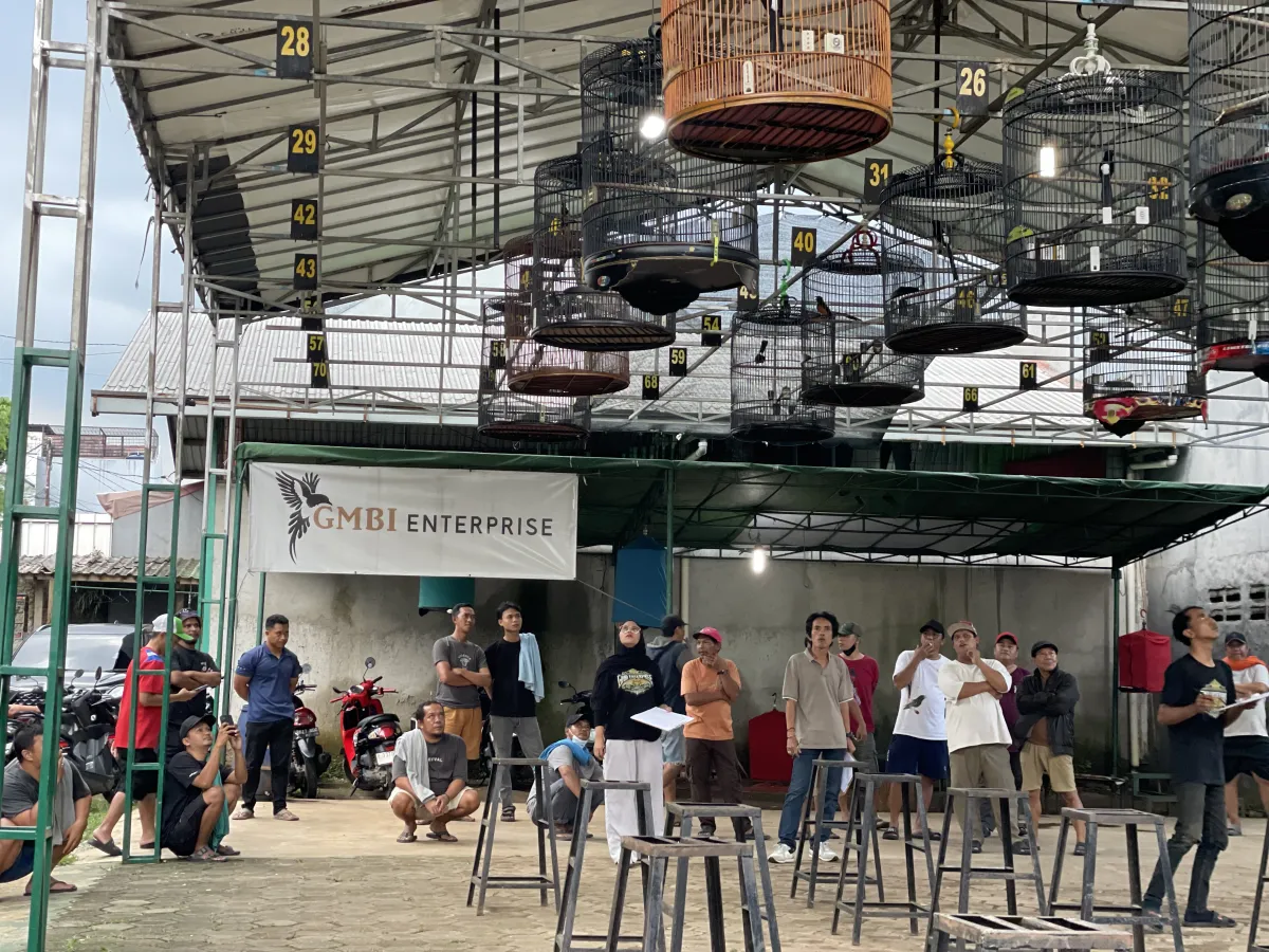 Lomba Burung GMBI Enterprise