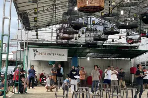 Lomba Burung GMBI Enterprise