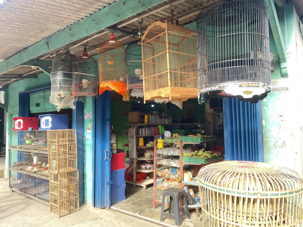 Kios burung Jay Syafana