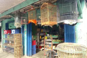 Kios burung Jay Syafana