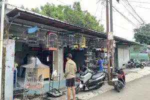 Kios Burung DR Arena