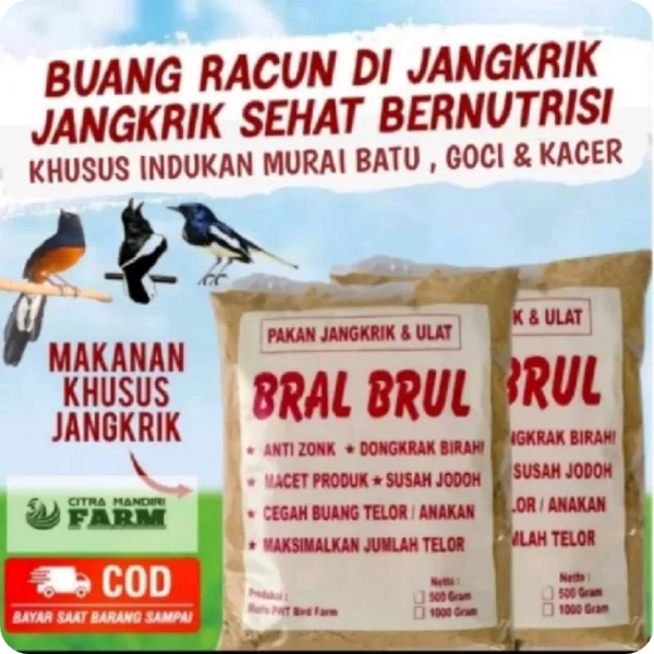 Anti Zonk Pakan Jangkrik BRAL BRUL untuk Indukan Murai Batu