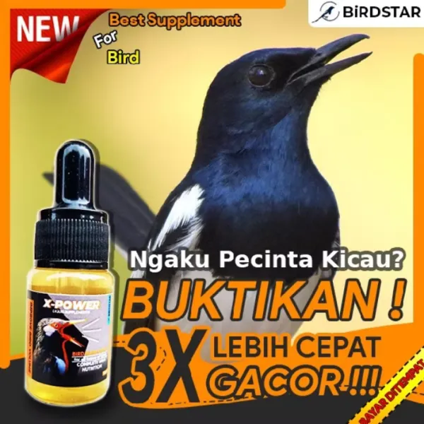 PIOONERVET - PROMO X-POWER VITAMIN OBAT BURUNG LOVEBIRD KENARI KACER JALAK SUREN MURAI BATU PLECI CENDET