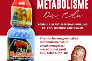 Cek Metabolis Dr.Edi Obat Burung Kicau 2.5ml