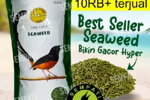 Sempati Gold Coin Seaweed Pakan Burung