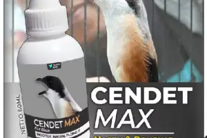 PIOONERVET - Vitamin Burung CENDET MAX Obat Penggacor Kicau Merangsang Bunyi Doping Stamina Sempati DrEdhi Optimaxx