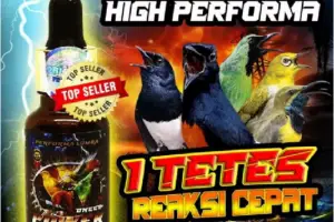Cek Power Crystal Omega Plus Vitamin Burung Gacor Cepat