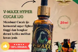 V-Maxx Hyper Cucak Ijo Vitamin Suara Ngetrok