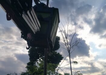 Terminal Tanjung Pinggir Diresmikan Presiden Jokowi. Susanti Dewayani Suguhkan Lampu Jalan Seperti Ini