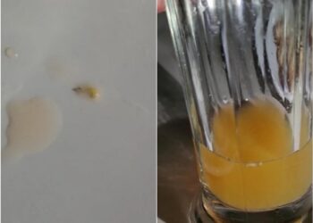 Pelanggan Temukan Ulat Dalam Jus Jeruk di Kafe Kopi Sio Pematang Siantar