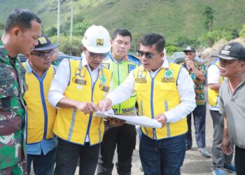 Tinjau Kebakaran Hutan, Bupati Simalungun Perintahkan Damkar Untuk Padamkan Api