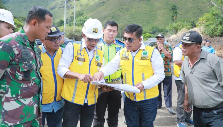 Tinjau Kebakaran Hutan, Bupati Simalungun Perintahkan Damkar Untuk Padamkan Api