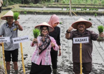 Wali Kota Pematangsiantar MenghadiriTanam Padi Perdana Kelompok Tani Satahi