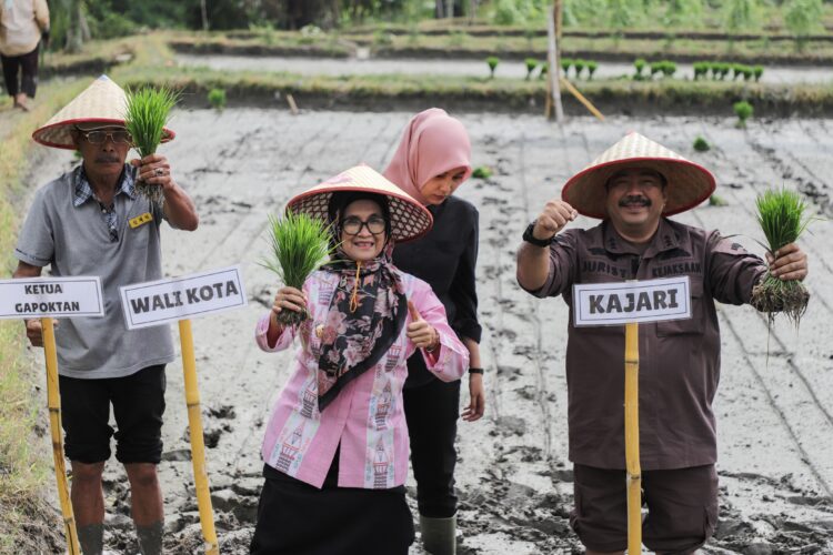 Wali Kota Pematangsiantar MenghadiriTanam Padi Perdana Kelompok Tani Satahi