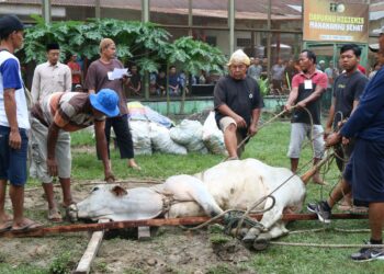 Lapas Kelas IIA Pematangsiantar Tunaikan Solat Idul Adha Berjamaah, serta Penyembelihan Hewan Qurban