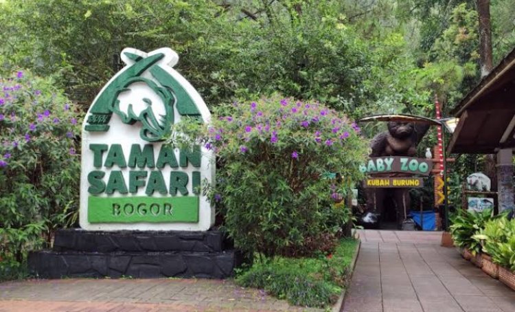 Taman Safari Bogor Ambil Tindakan Soal Kuda Nil Diberi Makan Plastik