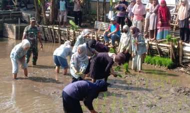 Babinsa Koramil 06-04/Bogor Barat Bantu Petani Tanam Padi Wujudkan Ketahanan Pangan