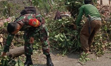 Demi Keselamatan Warga Babinsa Koramil 06-01/Bogor Tengah Turut Tebang  Pohon