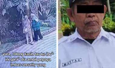 Satpam Tempat Wisata Dipecat, Diduga Gegara Buah Pepaya Dicuri Ibu-Ibu