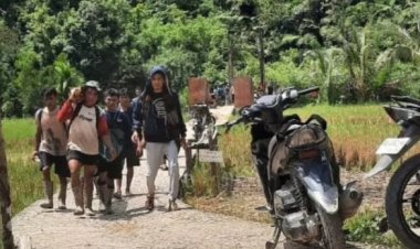 15 Orang Meninggal Akibat Tertimbun Tanah di Lokasi Tambang Solok