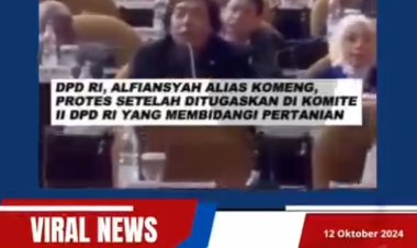Momen Komeng Bingung, Ditugaskan di Komite II DPD Tapi Tak Kuasai Bidang
