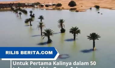 Setelah 50 tahun terakhir, Gurun Sahara akhirnya Kebanjiran
