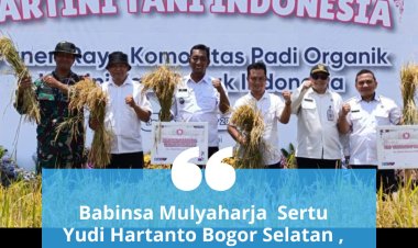 Babinsa Mulyaharja Bogor : Dampingi! Panen Raya Komoditas Padi Organik