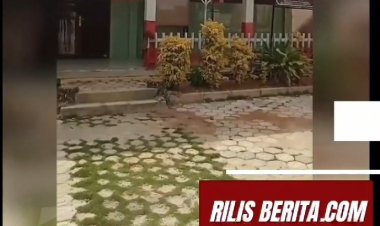 SDN Waringinkurung 2, sangat  Membutuhkan Rehabilitasi Total.