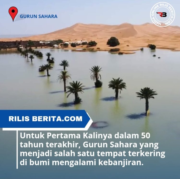 Setelah 50 tahun terakhir, Gurun Sahara akhirnya Kebanjiran