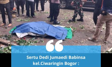 Kronologi ! Pohon Tumbang Timpa Pemotor Hingga Tewas