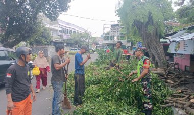 Demi Keselamatan Warga Babinsa Pantau dan amankan Area, Tebang  Pohon Tua