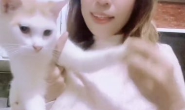 Sekarmayang Siregar Pecinta Kucing yang Menginspirasi