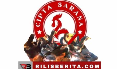 Budidaya Ayam Kampung Sebagai Penguat Ketahanan Pangan