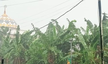 Hujan Deras Disertai Angin Kencang Melanda Harjasari, Bogor Selatan
