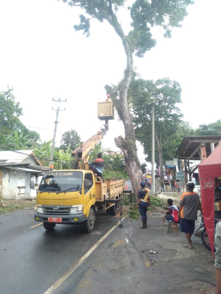 Warga Apresiasi Kinerja Camat Cikakak dan Petugas, Pohon di keluhkan Akhirnya di tebang