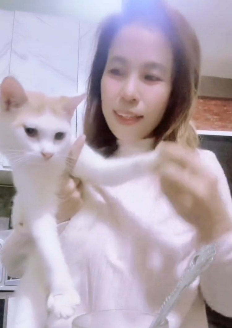 Sekarmayang Siregar Pecinta Kucing yang Menginspirasi