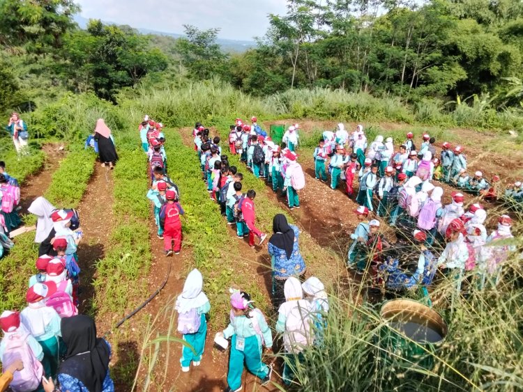 Edukasi Pertanian di Lokasi Agro Bisnis Rancamaya Tingkatkan Pengetahuan Siswa SDN Rancamaya 02