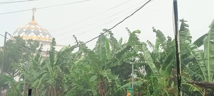 Hujan Deras Disertai Angin Kencang Melanda Harjasari, Bogor Selatan