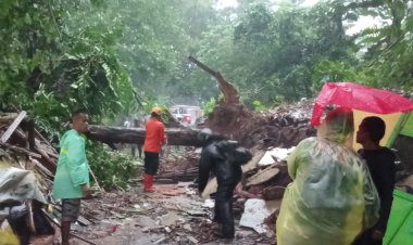 Babinsa Bantar Gadung Tangani Cepat Bencana Tanah Longsor dan Pohon Tumbang yang Menutupi Jalan Utama