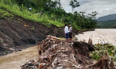 Luapan Sungai Cimandiri Hancurkan Selokan di Desa Cibuntu, Ancam Irigasi 80 Hektar Persawahan