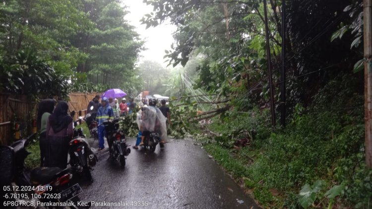 Babinsa Koramil 0622-06/Parakan Salak Monitoring Pohon Tumbang Akibat Hujan Deras
