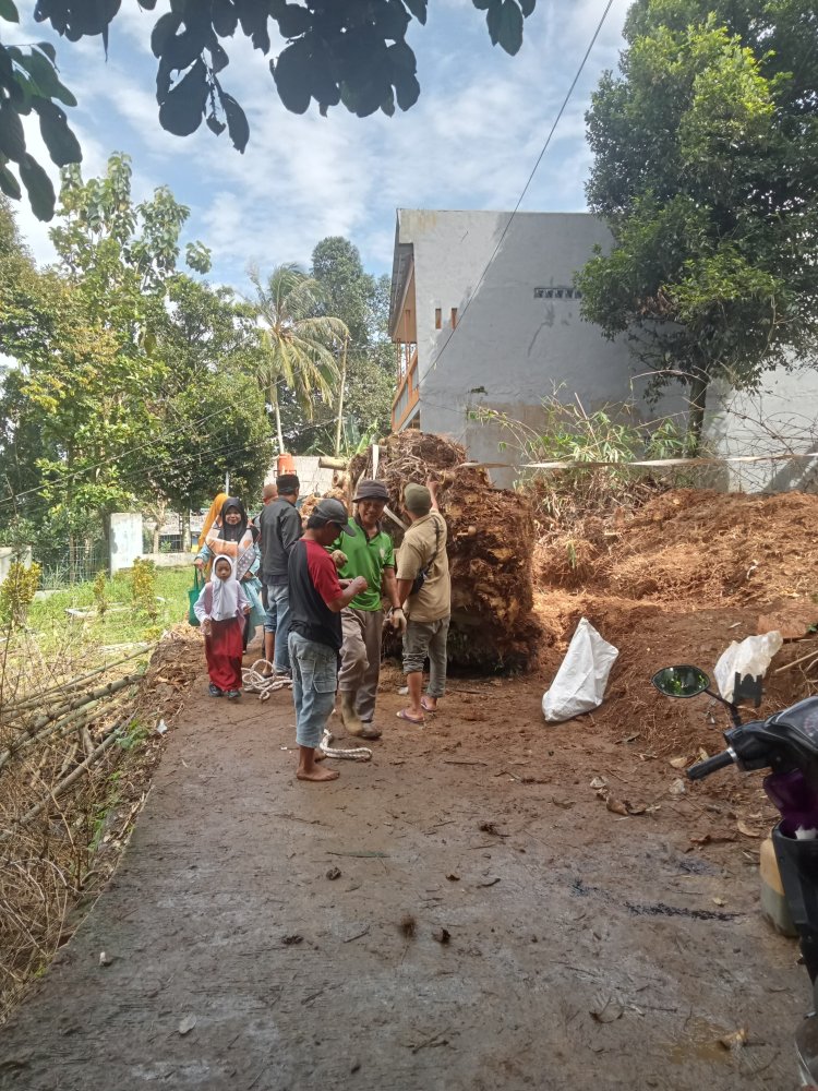 Angin Kencang Robohkan Pohon Bambu, Warga Kampung Lebak Pari Gotong Royong Bersihkan Akses Jalan