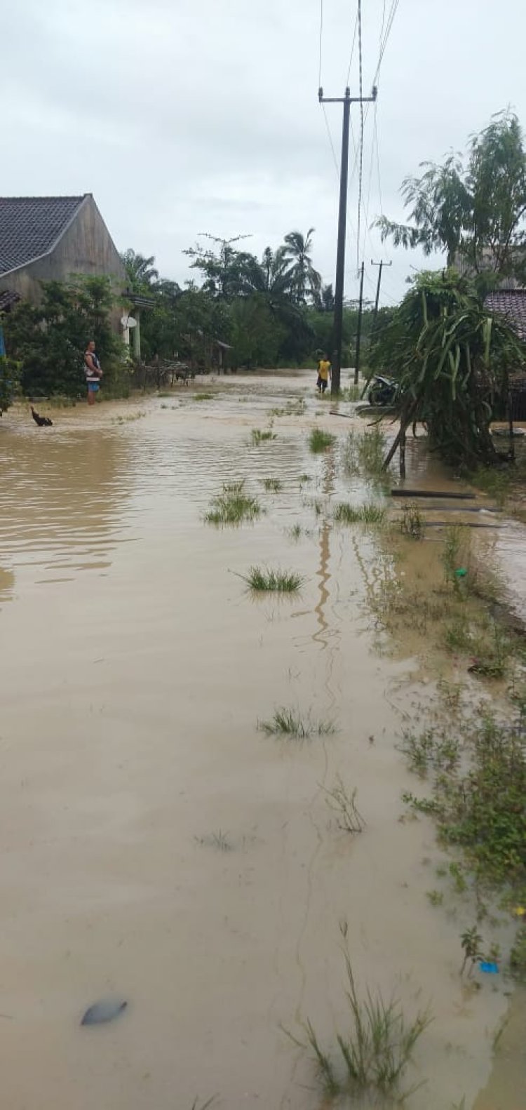 Banjir Rendam 27 Rumah di Kampung Kartasari, Desa Tanjungan, Cikeusik, Pandeglang