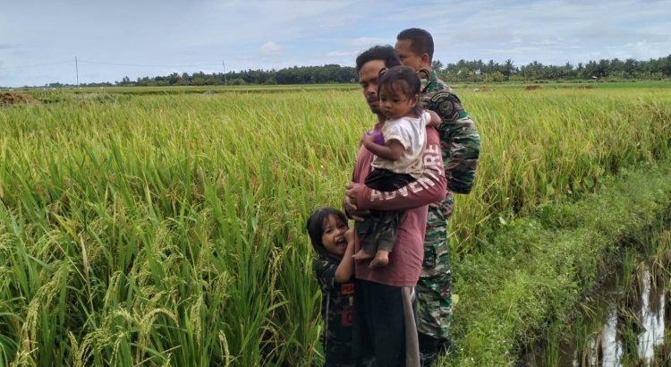 Babinsa Koramil 2212/Tegalbuleud Laksanakan Pendampingan Ketahanan Pangan kepada Kelompok Tani